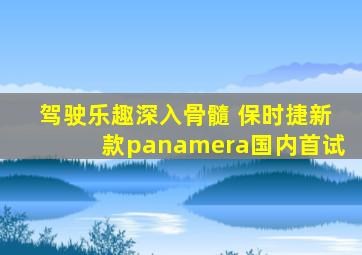 驾驶乐趣深入骨髓 保时捷新款panamera国内首试